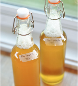 Kombucha Glass Bottles Top Fermented Foods