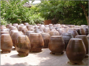 Buried Ceramic Jars Top Fermented Foods