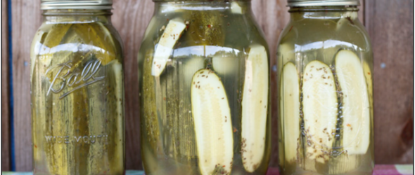 Pickles-Glass Jar-Top Fermented Foods