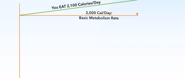 weight regain